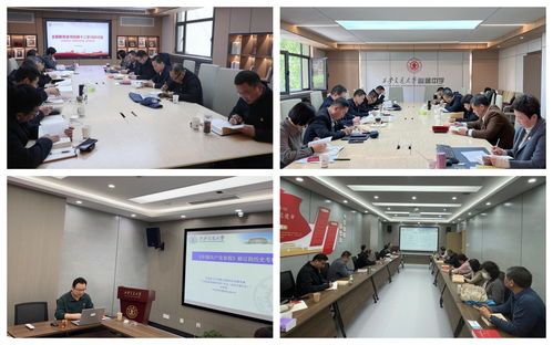 筑牢育人根基，賦能學校發展 基礎教育黨委以一流服務引領優質教育新篇章